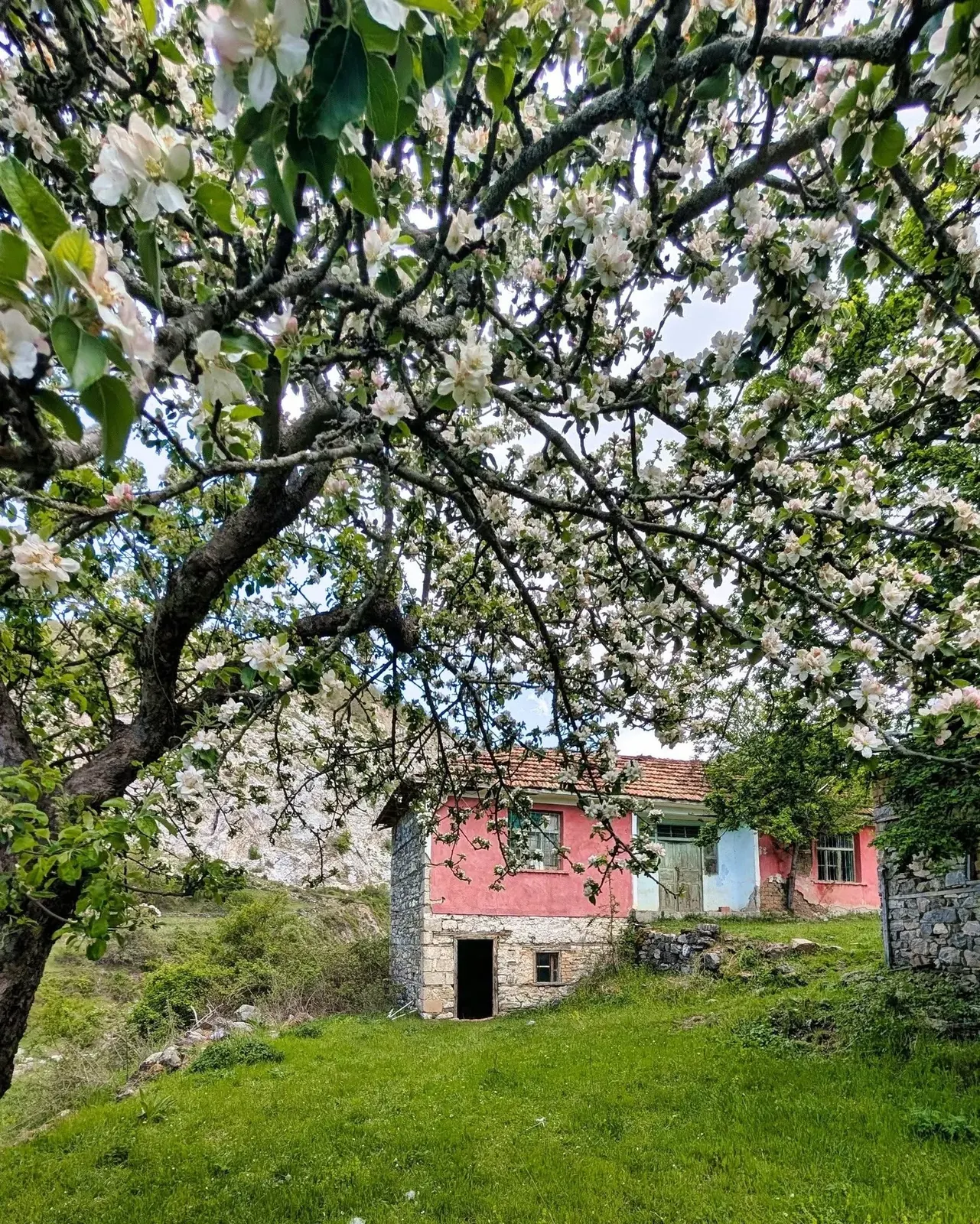 Bahutë and the Old Houses