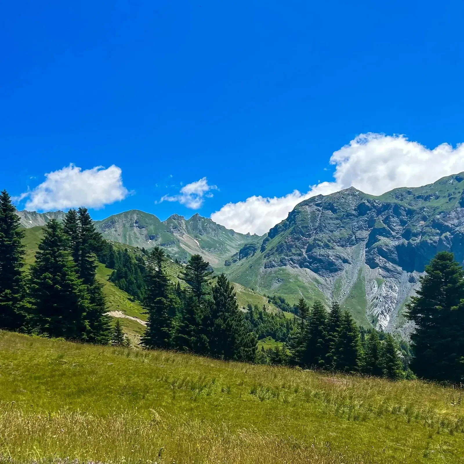 Korab–Koritnik Nature Park